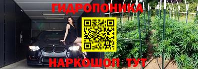 скорость Пугачёв