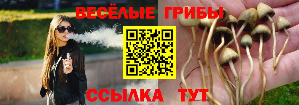 Галлюциногенные грибы Psilocybine cubensis Вичуга